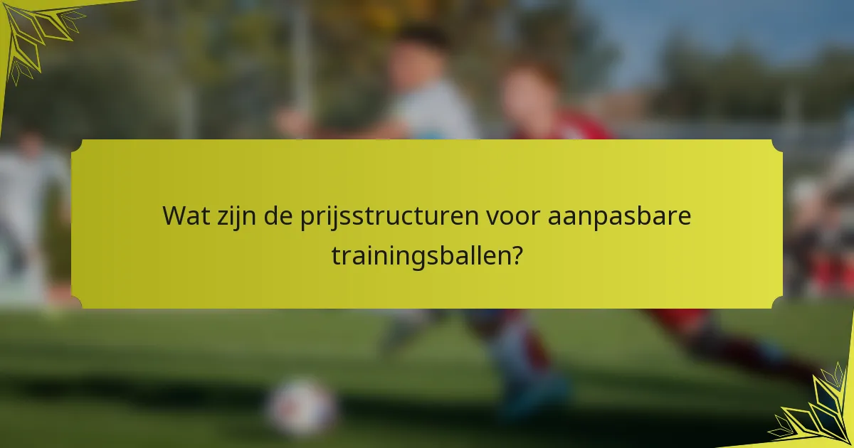Wat zijn de prijsstructuren voor aanpasbare trainingsballen?