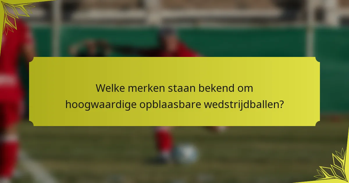 Welke merken staan bekend om hoogwaardige opblaasbare wedstrijdballen?