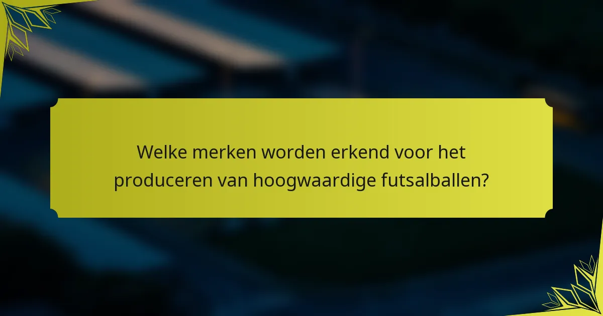 Welke merken worden erkend voor het produceren van hoogwaardige futsalballen?
