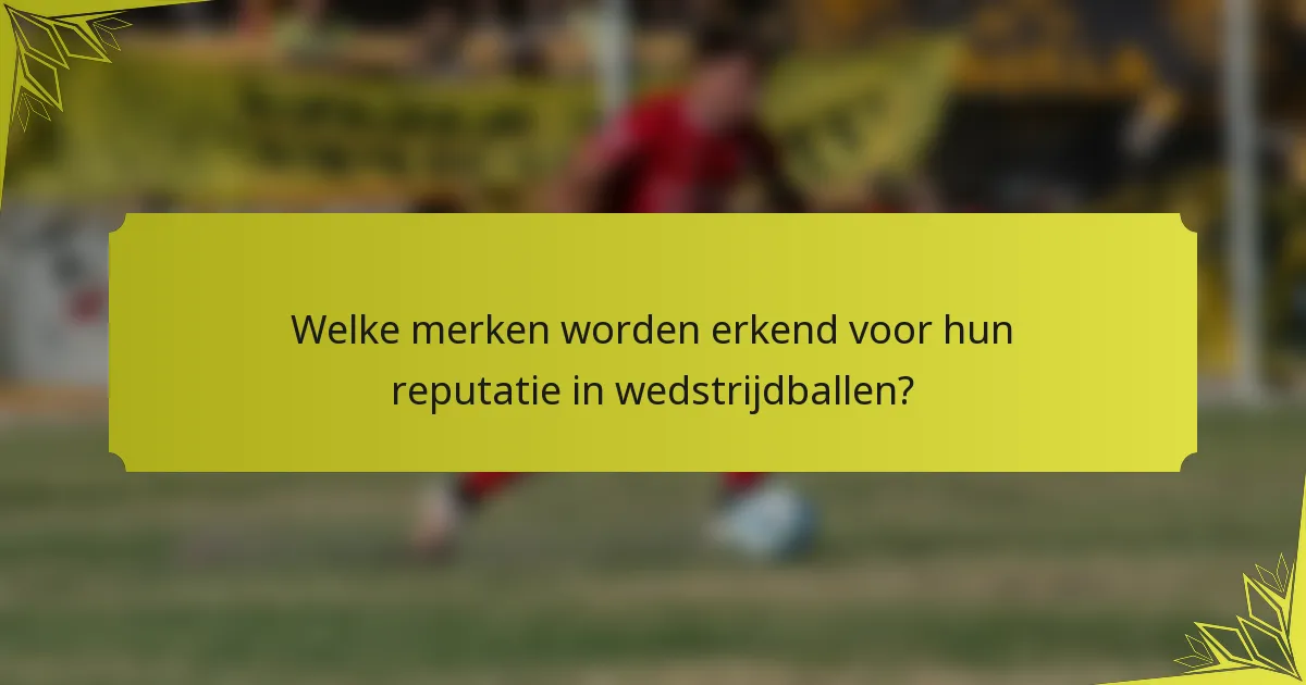 Welke merken worden erkend voor hun reputatie in wedstrijdballen?
