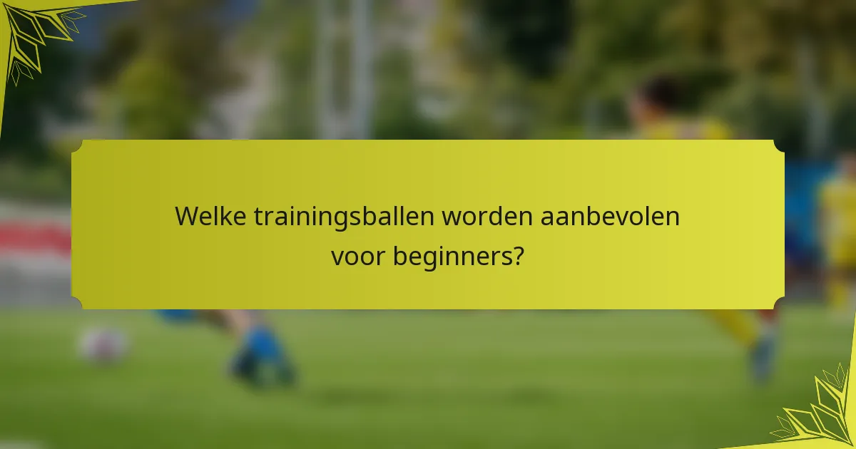 Welke trainingsballen worden aanbevolen voor beginners?